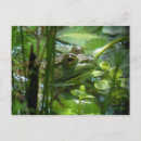 Suche nach grüner frosch postkarten Niedlich