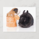 Suche nach ostern kaninchen postkarten Spaß