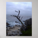 Suche nach monterey poster Foto