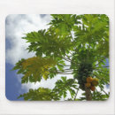 Suche nach süd mousepads Natur