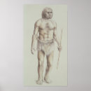 Suche nach homo sapiens poster Hominid