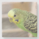 Suche nach parkett untersetzer Vogelvogel