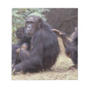 Suche nach afrika notizblock Affe