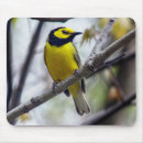Suche nach schöner vogel mousepads Natur