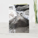 Suche nach encouragement karten Photography