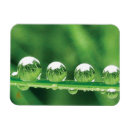 Suche nach tautropfen Wassertropfen