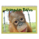 Suche nach affe kalender Wild lebende tiere