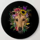 Suche nach pflanzen sie blume buttons Botanisch