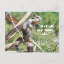 Suche nach funny squirrel poster Spaß