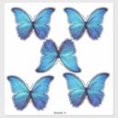 Suche nach morpho aufkleber Blau