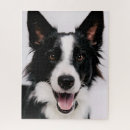 Suche nach border collie puzzle Niedlich