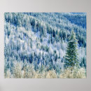 Suche nach aspen poster Wald