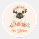 Suche nach mops aufkleber Hund