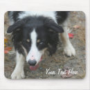 Suche nach collies mousepads Dog