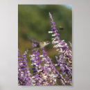 Suche nach mexikanische poster Wand