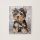 Suche nach yorkie puzzle Niedlicher hund