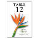 Suche nach vogel tischkarten Elegante