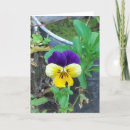 Suche nach pansy blume karten Hübsch