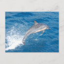 Suche nach hawaii fische postkarten Meer
