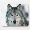 Suche nach weißer wolf mousepads Wild