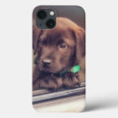 Suche nach schokolade labrador elektronik zubehör Schokoladenlabrador