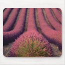 Suche nach lavendelfeld mousepads Blume