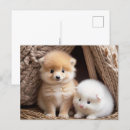 Suche nach babytiere postkarten Niedliche kleintiere