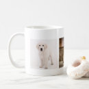 Suche nach bilder hunde tassen Welpe