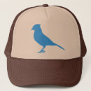 Suche nach jay kappen Vogel