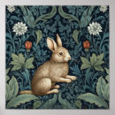 Suche nach hasen poster Kaninchen