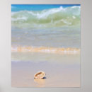 Suche nach seashell poster Nautisch