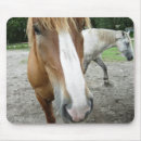 Suche nach wilde wilde pferde mousepads Land