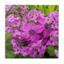 Suche nach lila blume fliesen Blüten