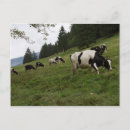 Suche nach schweizerische postkarten Landschaft