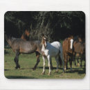 Suche nach mustang mousepads Pferd
