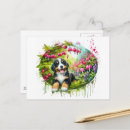 Suche nach sennenhund postkarten Welpe