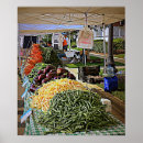 Suche nach grüne gurke poster Gurken