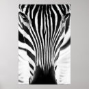 Suche nach und schwarzer zebra poster Muster