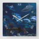 Suche nach hai wanduhren Großer weißer hai