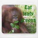 Suche nach wild lebende tiere mousepads Affe