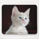 Suche nach süß mousepads Haustiere