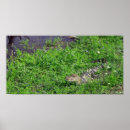 Suche nach reptil kunst Alligator