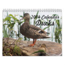 Suche nach vogel kalender 2014