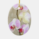 Suche nach orchideen blume ornamente Natur