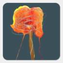 Suche nach lampe aufkleber Bunt