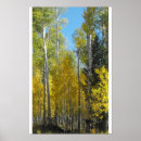 Suche nach espen poster Landschaft