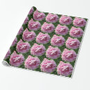 Suche nach rosa pfingstrose geschenkpapier Blumig