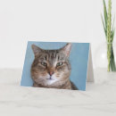 Suche nach katzengeburtstagskarte karten Katzenliebhaber