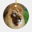 Suche nach löwe ornamente König