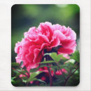 Suche nach garten blumen mousepads Blätter
